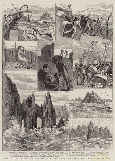 Expedition to Explore the Deep Sea Fauna off the South West Coast of Ireland by Adrien Emmanuel Marie